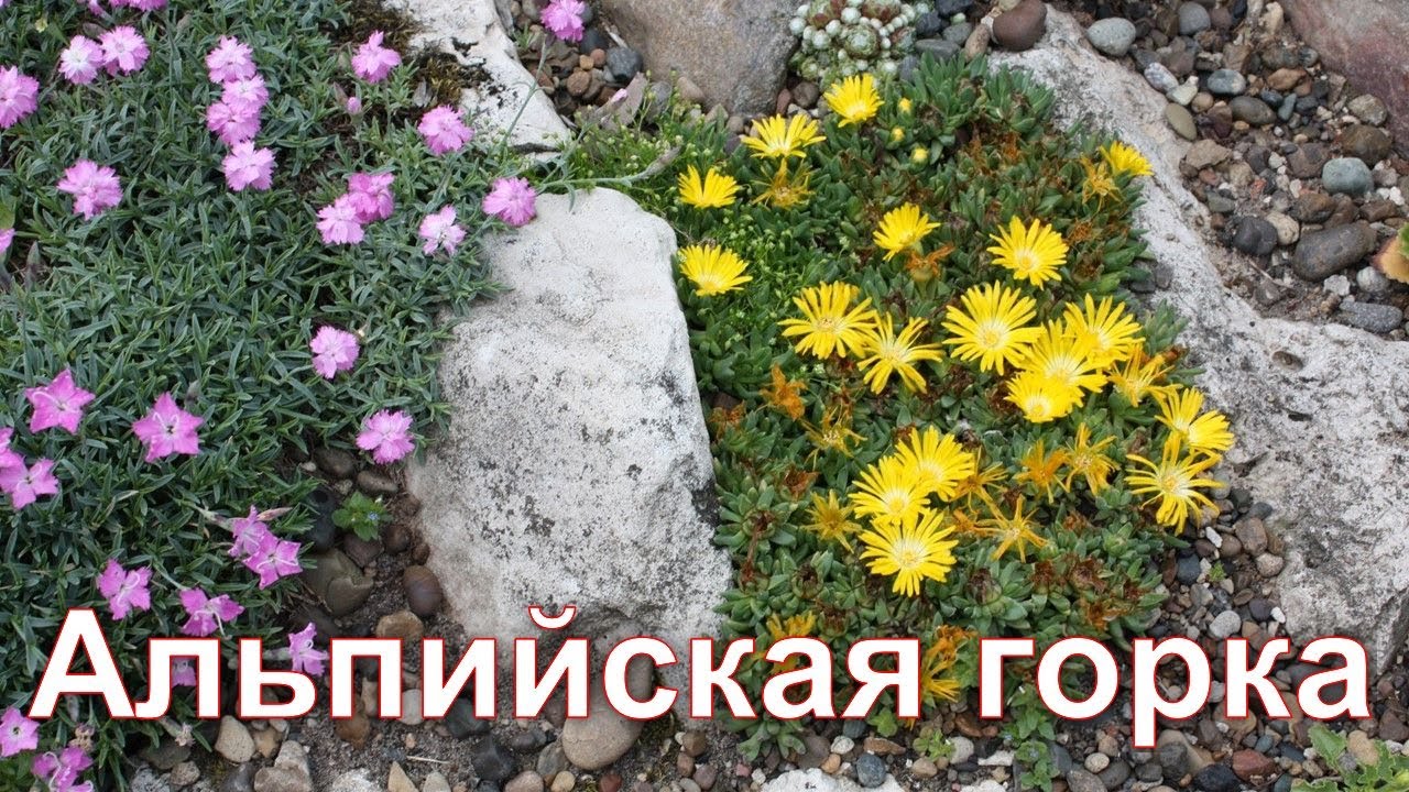 Альпийская горка