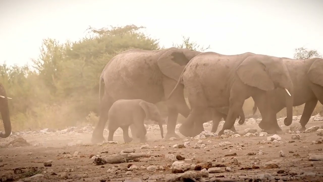 Africa sky