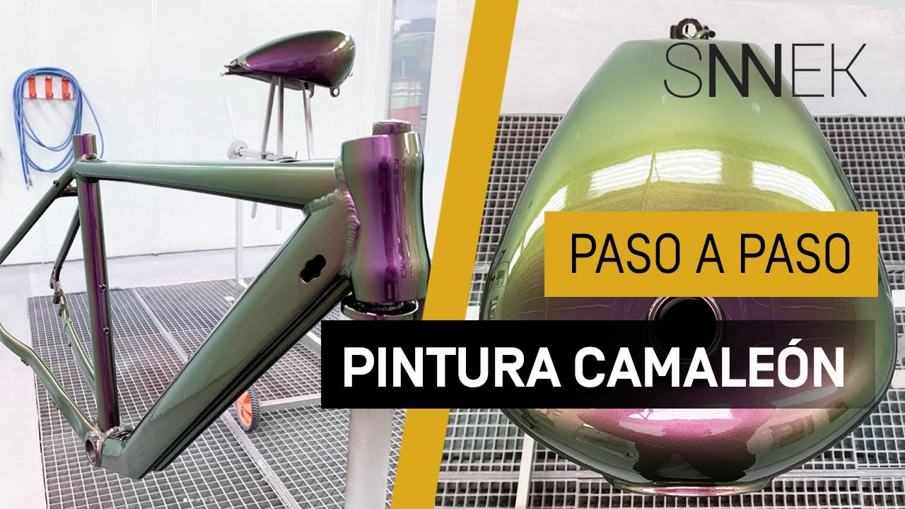 C&oacute;mo Aplicar la Pintura Camale&oacute;n Paso a Paso