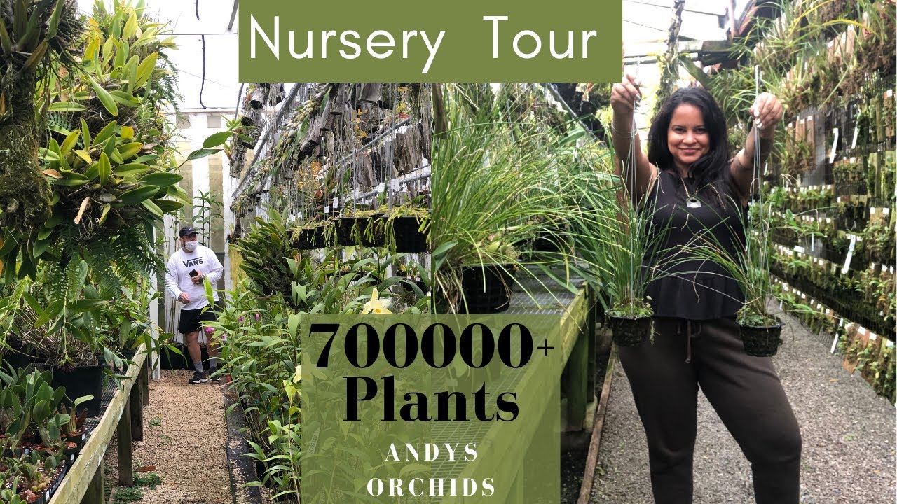 Plant Nursery Tour at Andy’s Orchids / Lets take a Look at 700000+ Houseplants
