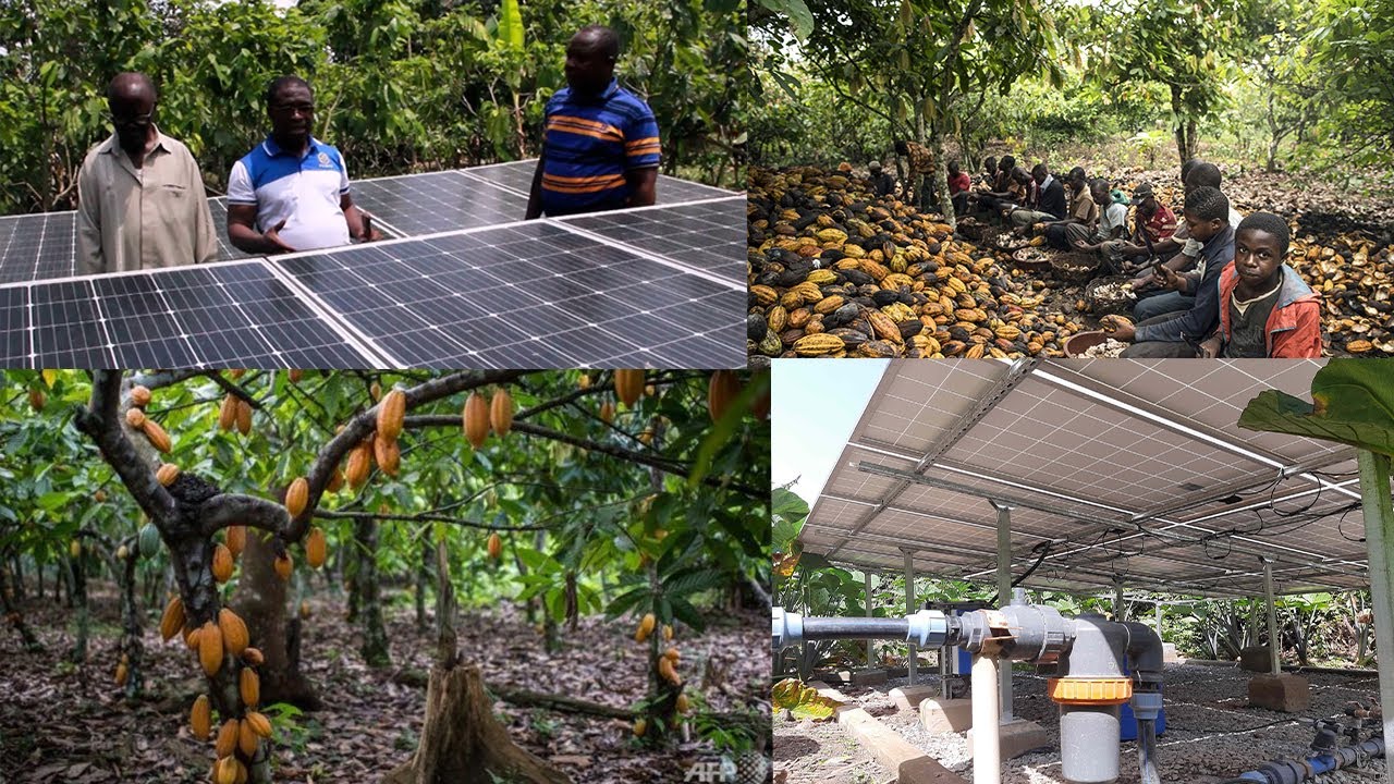 FIRST SOLAR IRREGATION COCOA FARM IN GHANA OWN BY CoP MEMBER - ELDER PETER OPPONG