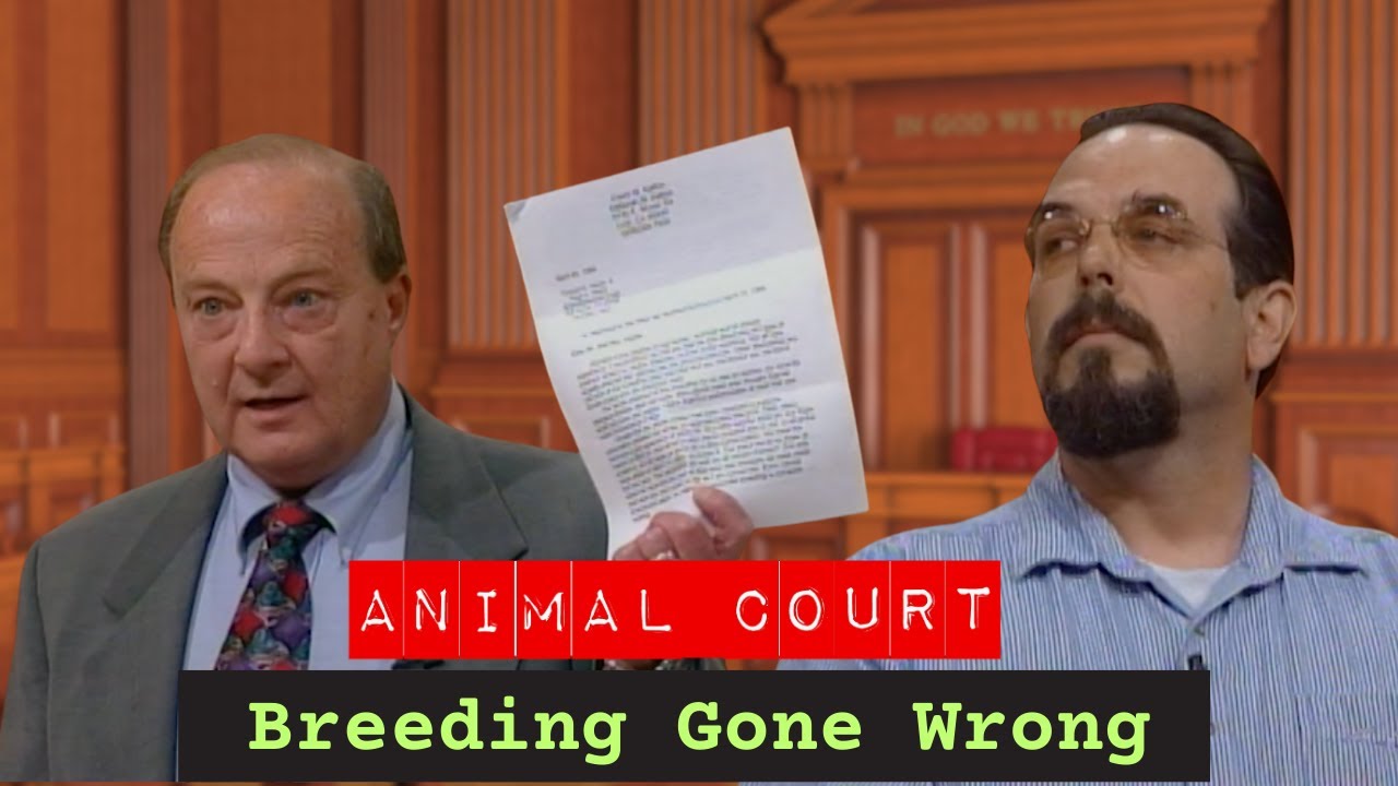 Animal Court | Breeding Gone Wrong!