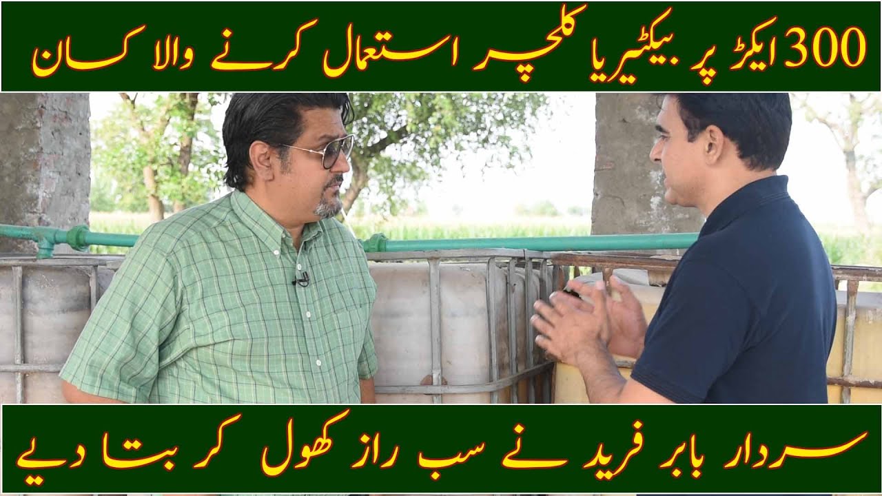 Bacteria culture in Pakistan at commercial scale|Regenerative Agriculture practice|بیکٹیریا کلچر