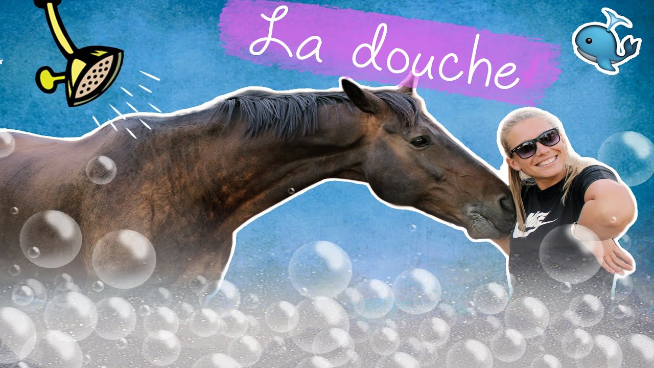 DOUCHER SON CHEVAL 🚿