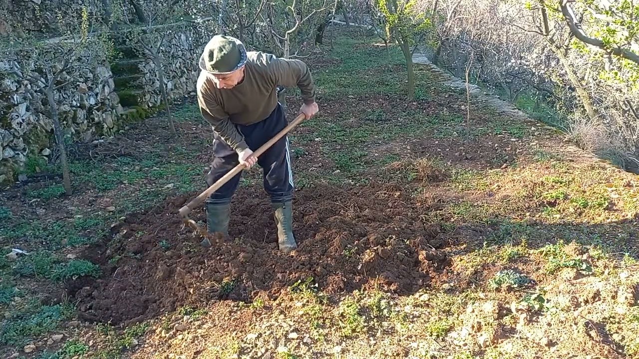 #agriculture 