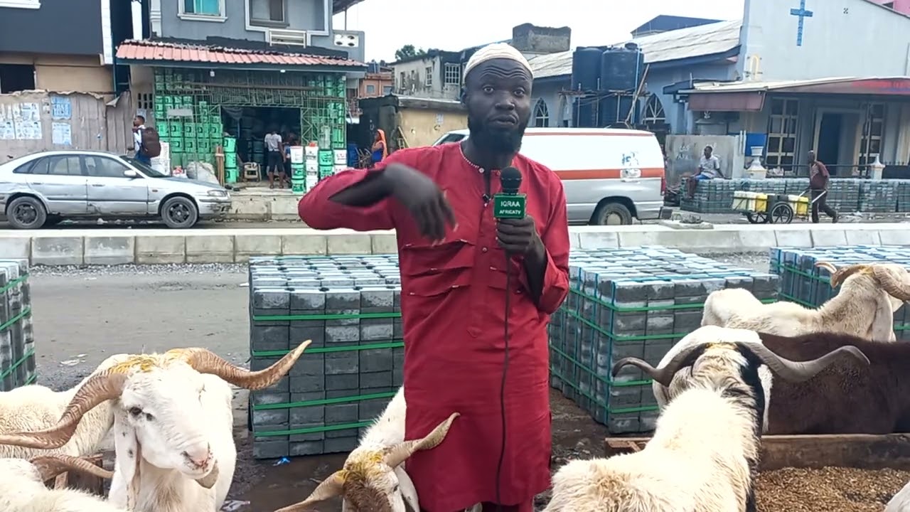 Ram vedor said, goat, ram ranges from N40,000 while a cow range from N200,000