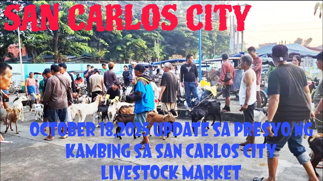 October 18, 2025 Update sa Presyo ng Kambing sa San Carlos City Livestock Market #livestockmarket