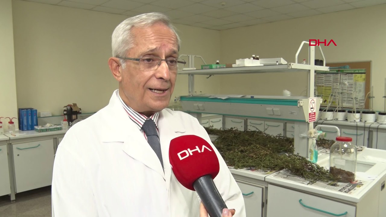 Prof. Dr. Erdem Yeşilada: Antibiyotik kullanırken yeşil çay için
