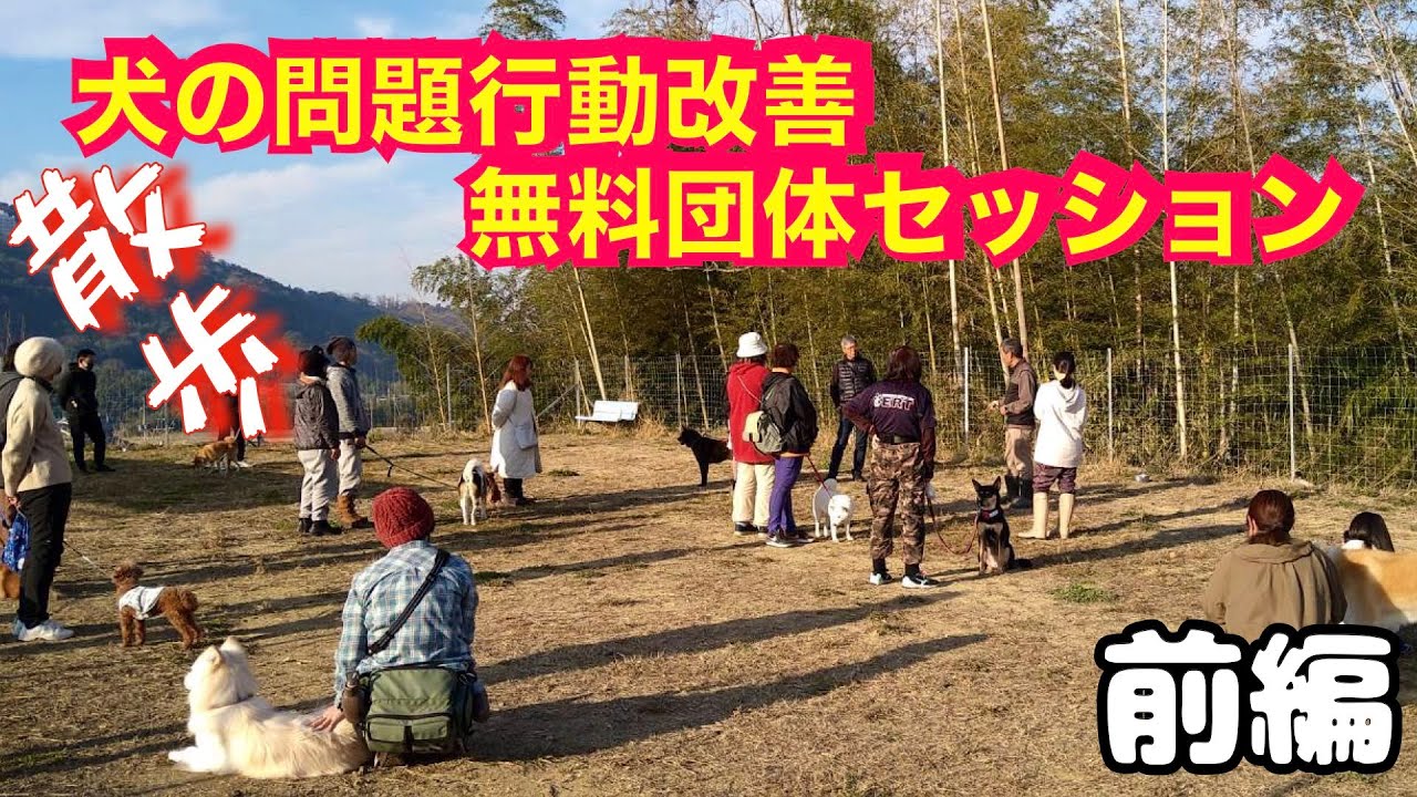 【散歩トレーニング】施設団体セッション（前編）2023年12月30日 @ポチパパ ちゃんねる【保護犬達の楽園】