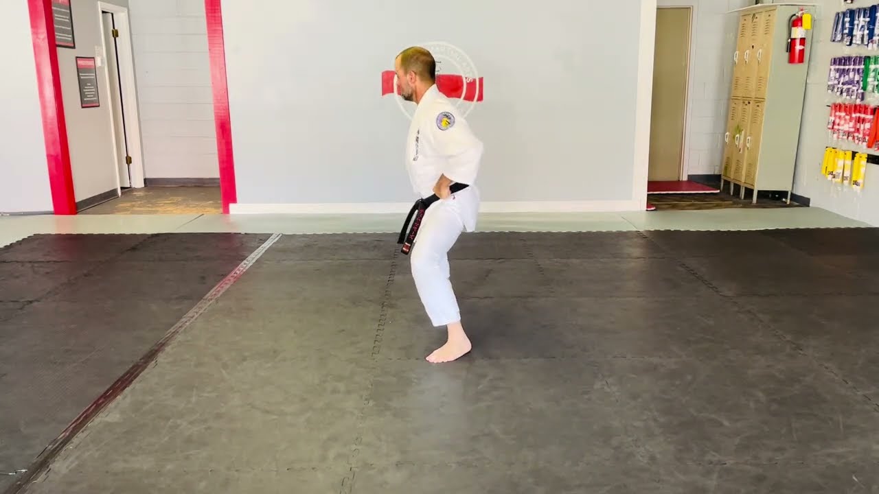 Pinan Sandan Kata Okinawan Karate