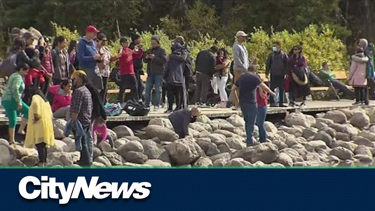 Almost 10K people moved to Alberta from other Canadian provinces in Q2