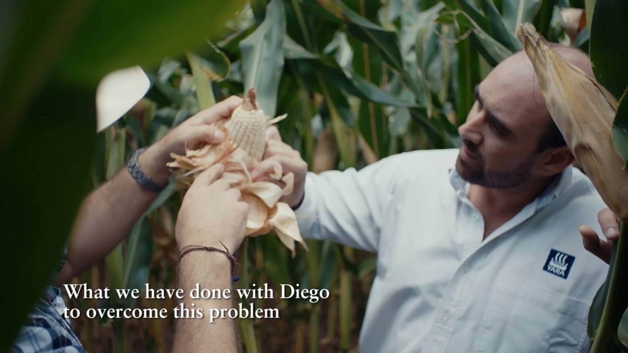 Knowledge grows Latin America