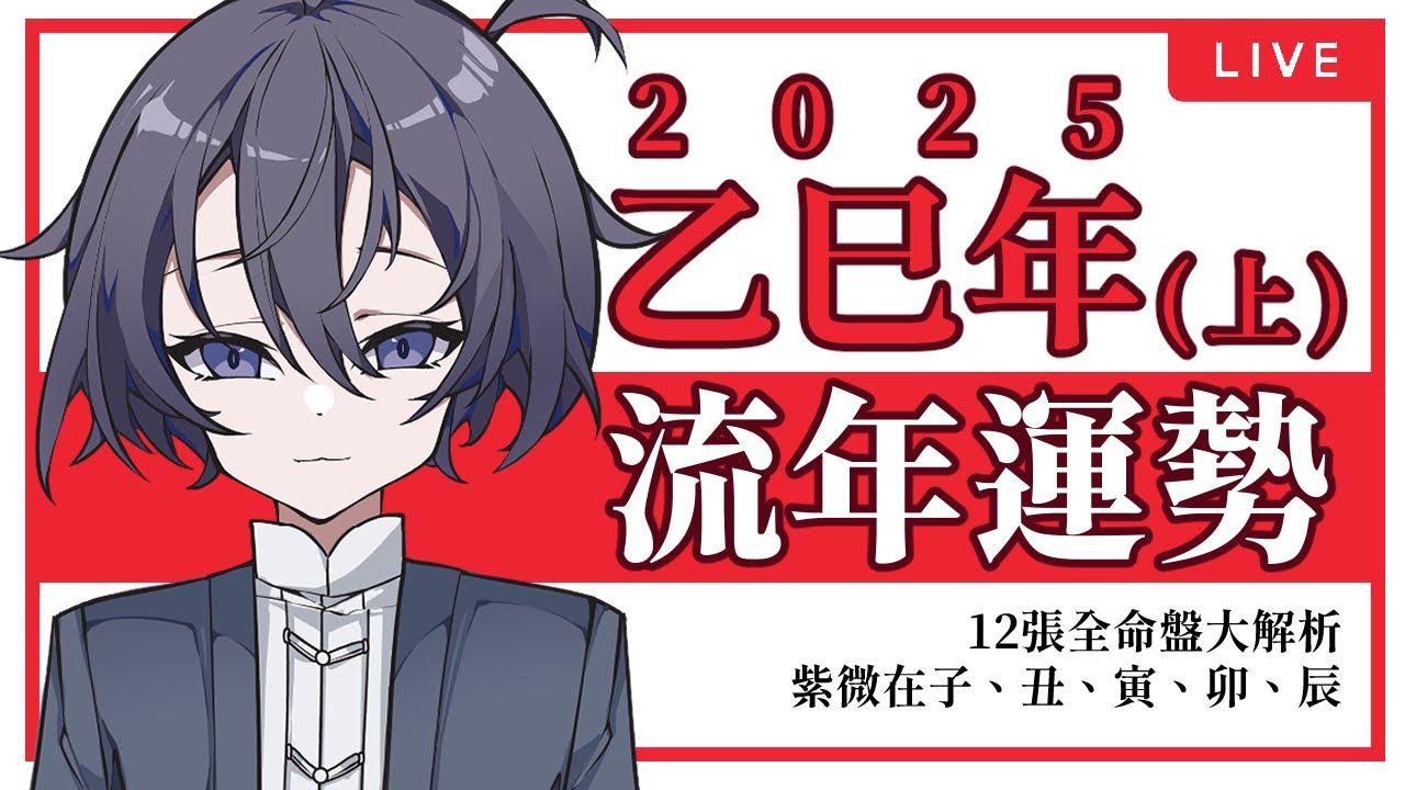 2025乙巳年流年詳細運勢分析（上）｜紫微斗數12張命盤全解析｜天干乙干｜地支巳支｜紫微在子｜紫微在丑｜紫微在寅｜紫微在卯｜紫微在辰