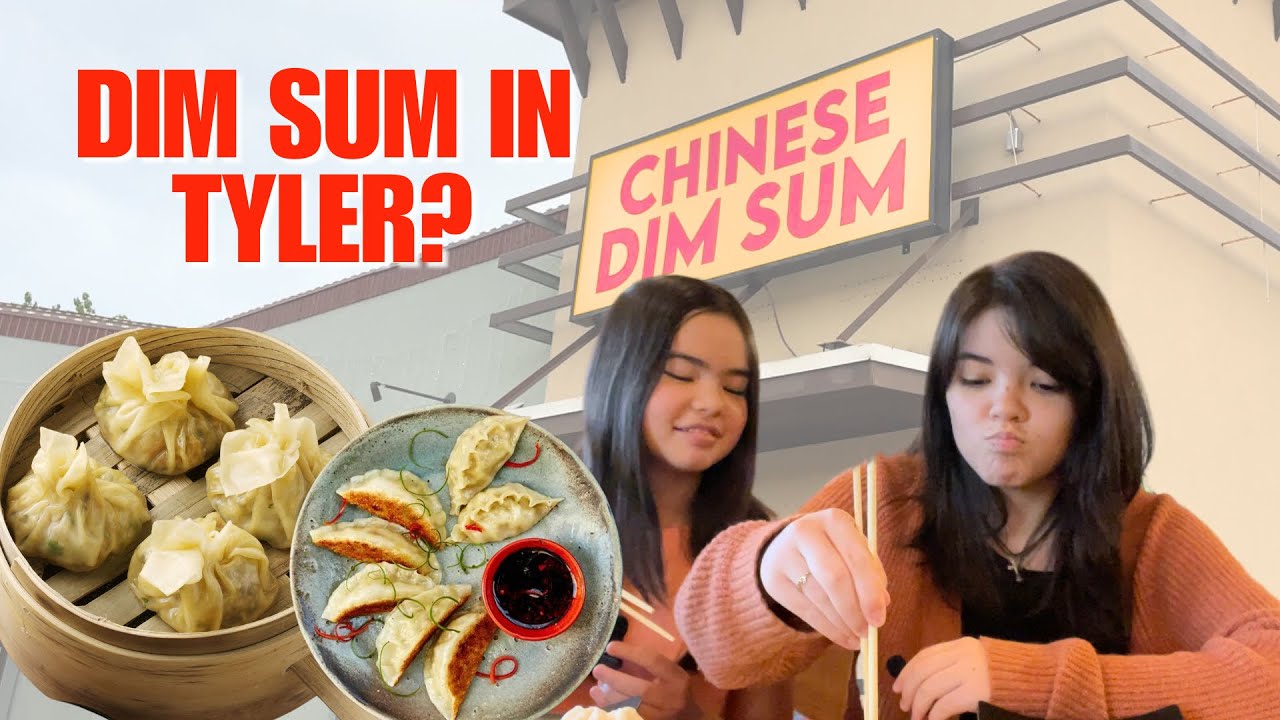 Trying the NEW Dim Sum restaurant? Leu Kidz review “Chinese Dim Sum” restaurant in Tyler, TX
