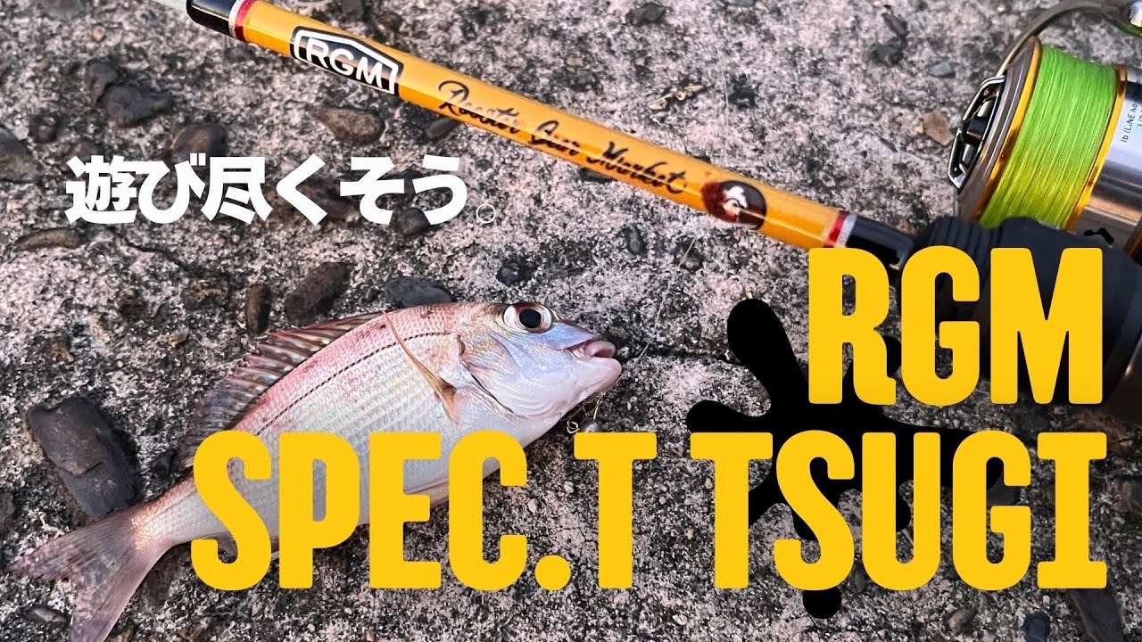 荒天のなか RGM spec.T Tsugi を持って釣りへ。ライトゲーム＆エサ釣りしてみたら新しい発見があった！【釣行】【パックロッド】
