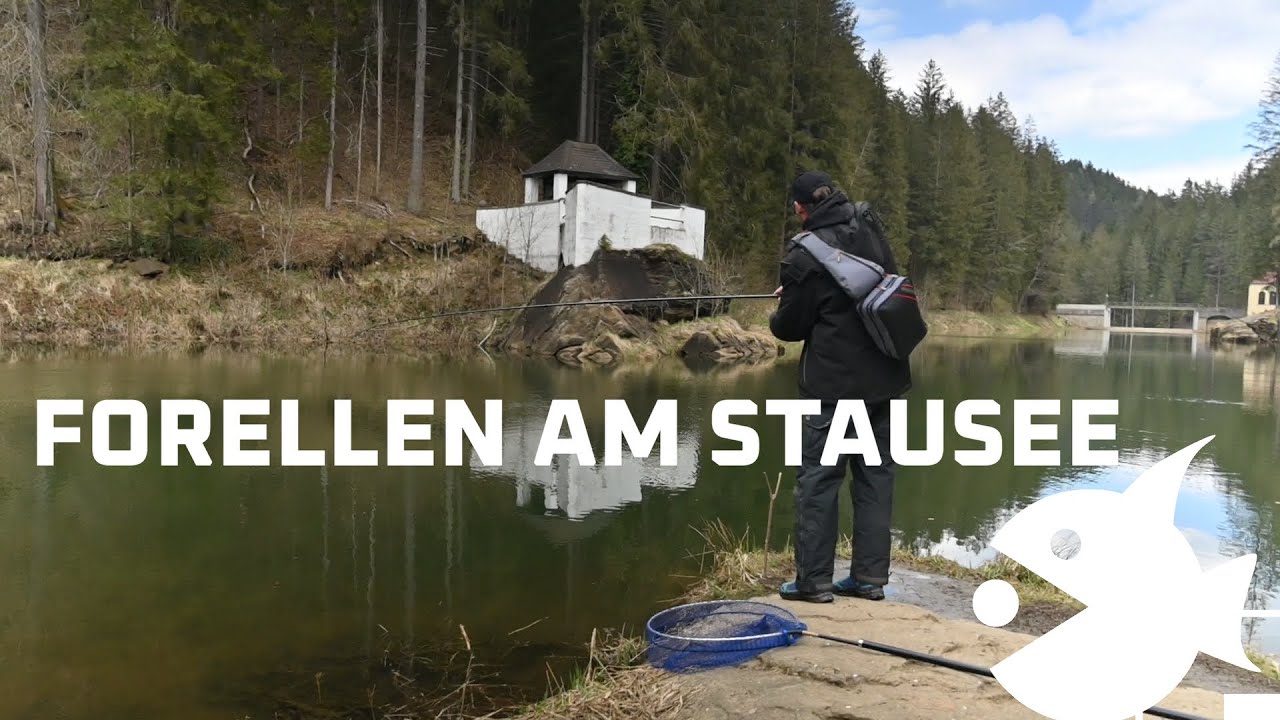 Stausee Forellen angeln was funktioniert am besten Gummifisch FPS oder FPS Wobbler - Fishingprofi