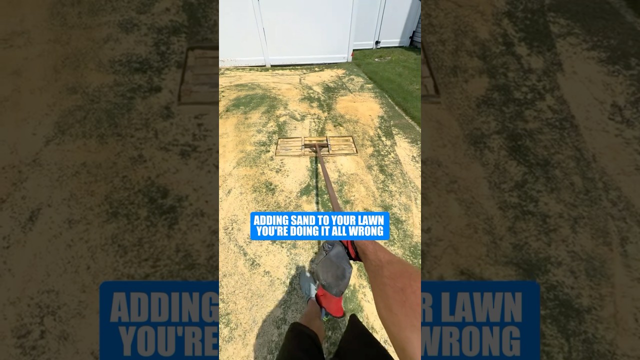 Why Sand Ruins Your Lawn (Do This Instead) 🌱 #shorts