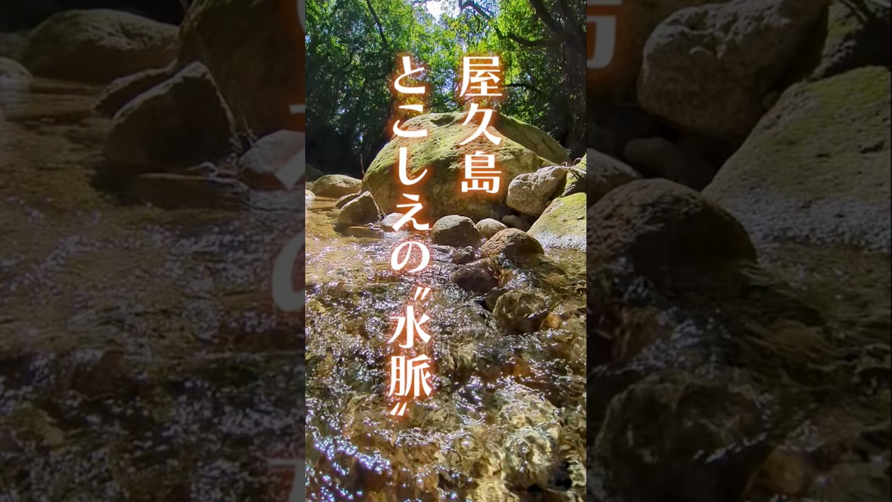 この“水脈”がとこしえでありますようにっ!!