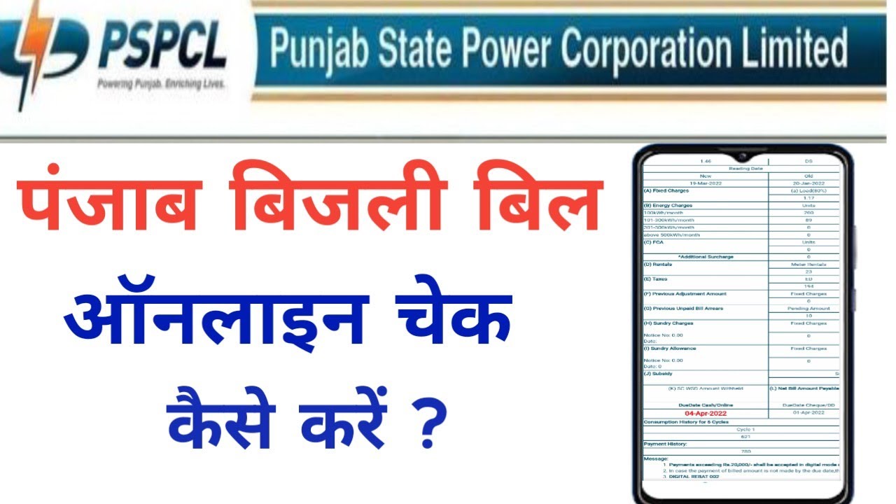 How to check Punjab electricity bill? How to check electricity bill in Punjab?