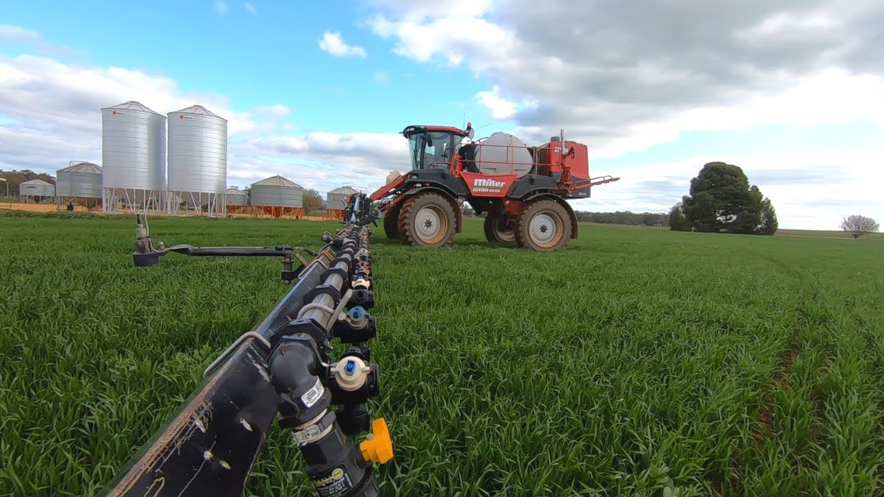 Kangaroo Incoming! Spraying Broadleaf Weeds From Our Barley