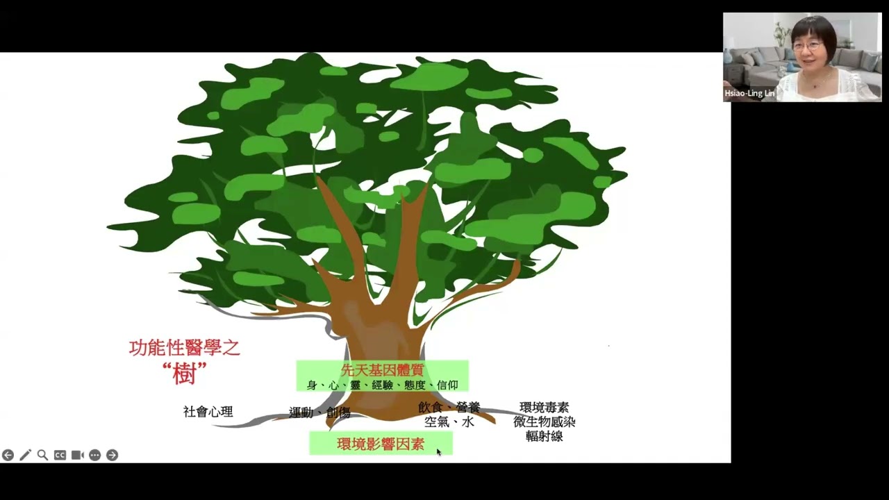 20250920 簡介功能醫學 林曉凌 醫師