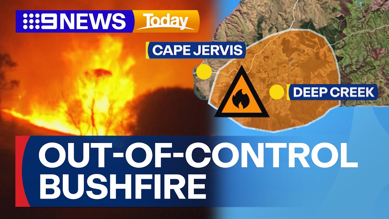 Out-of-control bushfire in South Australia rages on | 9 News Australia