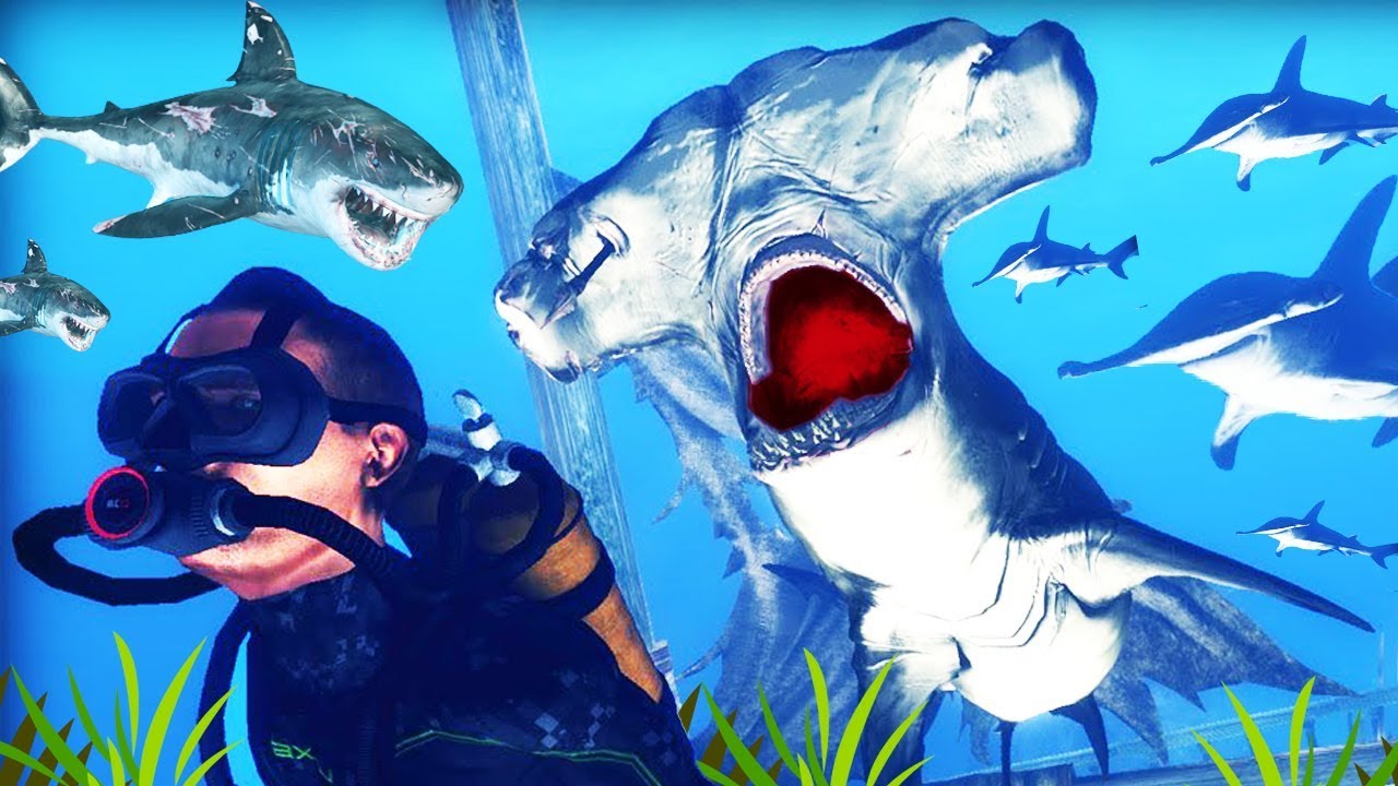 LA FUERZA DEL TIBURON MARTILLO | DEPTH