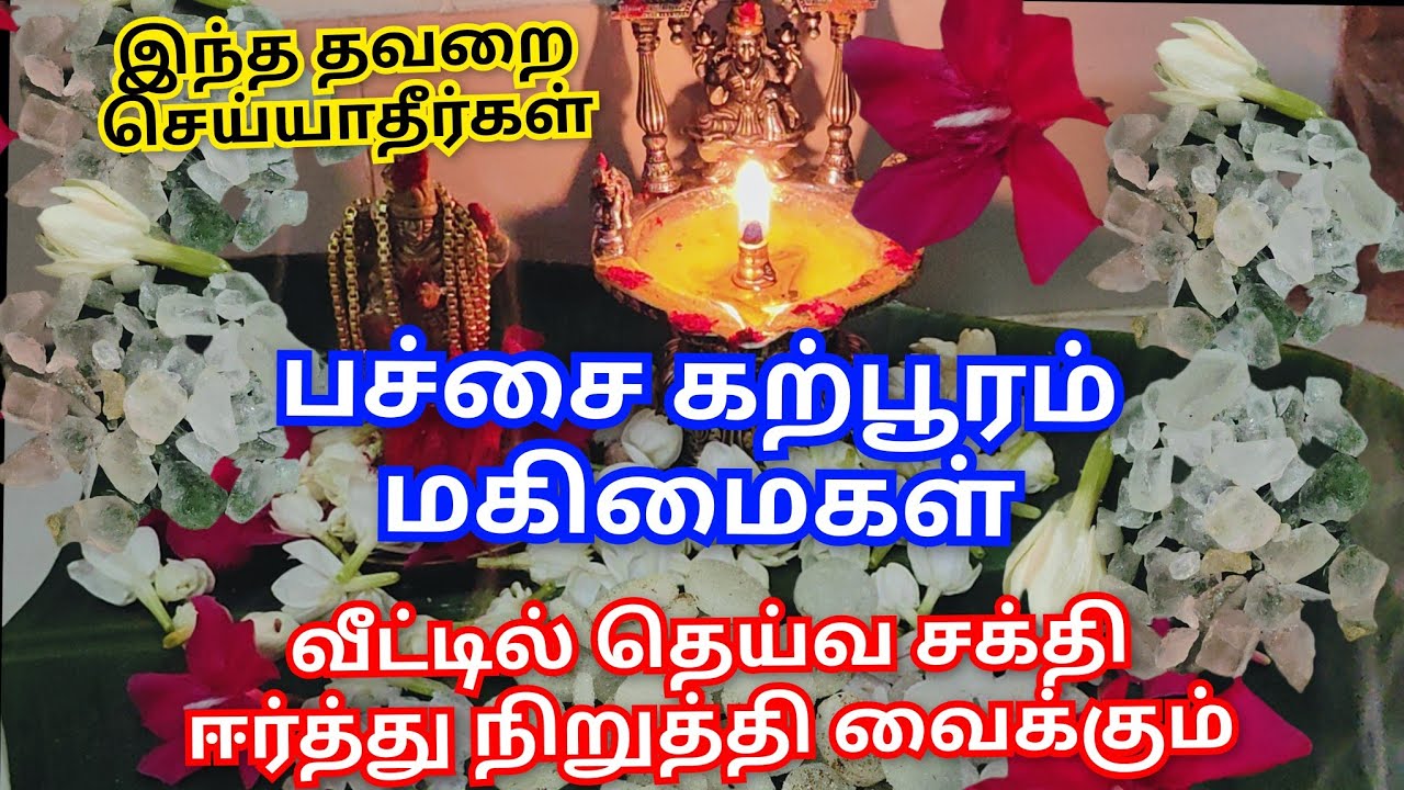 💯24 மணி நேரமும் வீடு முழுவதும் வாசனையாக இருக்கும்|Green camphor pachai karpooram benefits