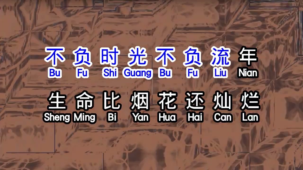 崔伟立  《 灿烂的你 》  Can lan de ni