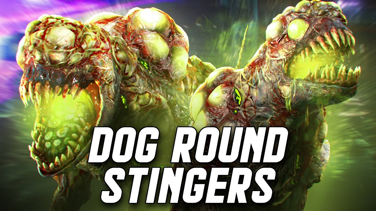 Plague Hound Dog round stingers - Black Ops Cold War - KSherwoodOps