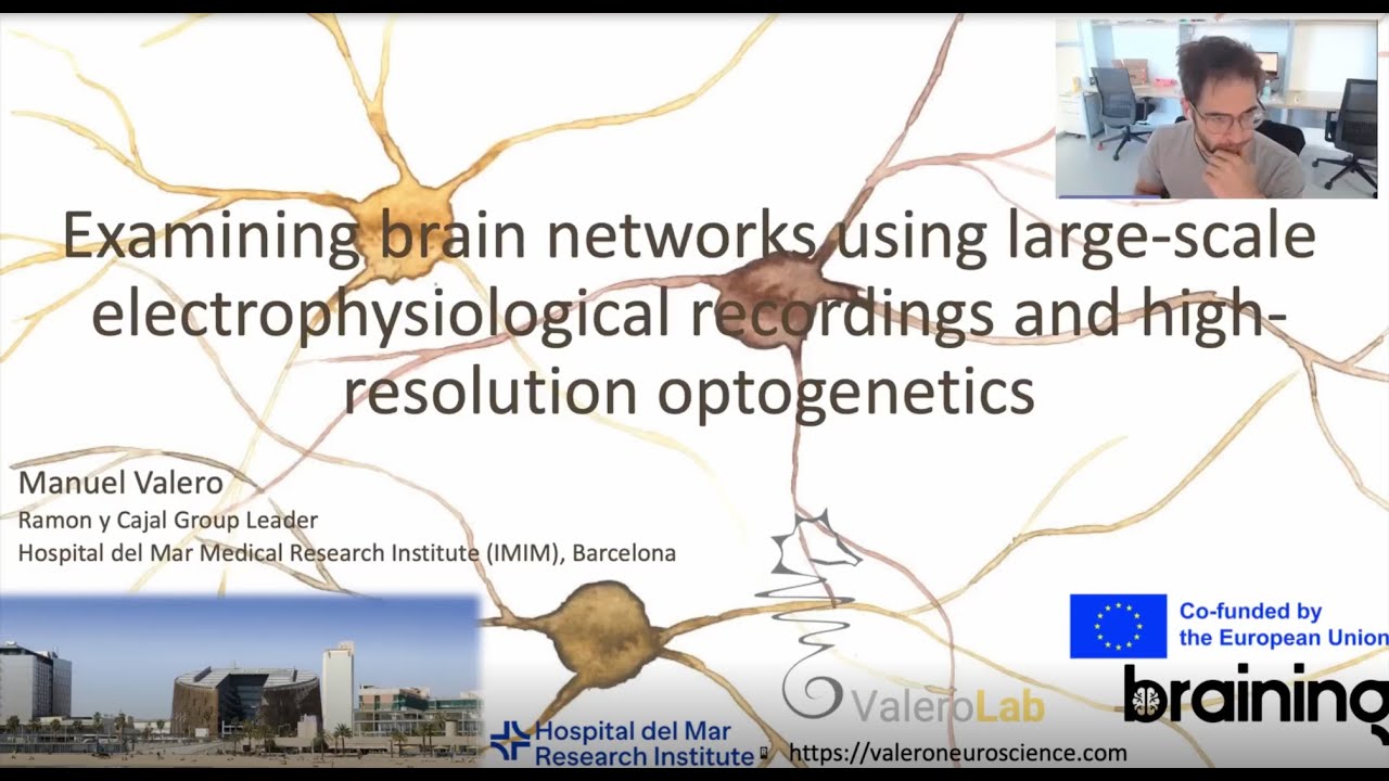 Examining brain networks using large-scale electrophysiological recordings and optogenetics