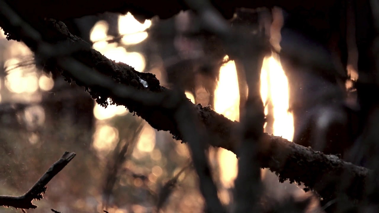 VAK - Loud Wind (Official Music Video)