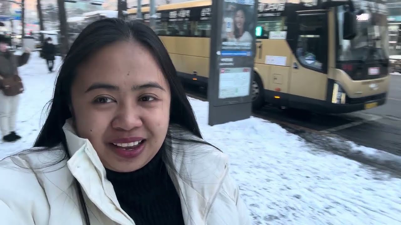 Snowfall in Korea | My First Snow