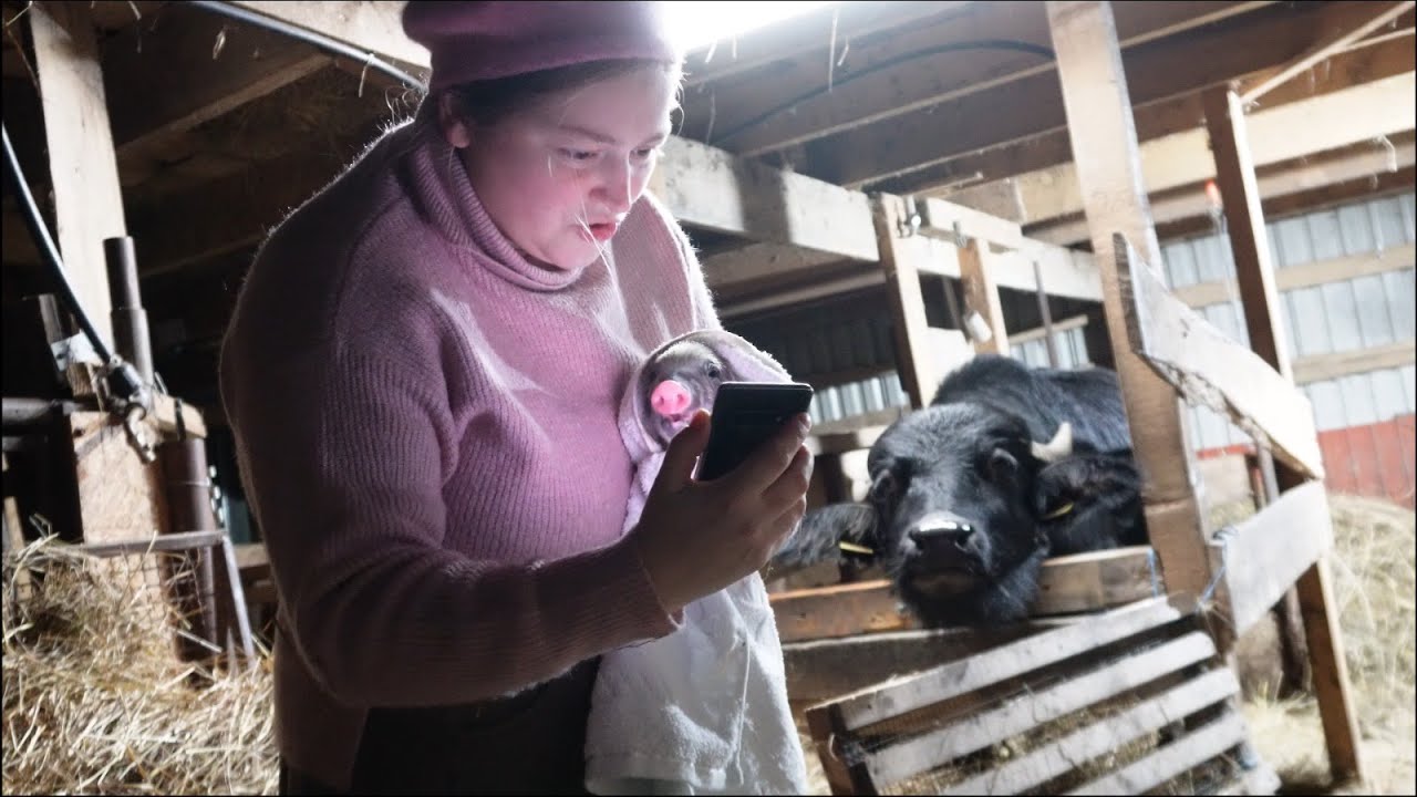 Я остался один на один со всеми животными! ЧТО СЛУЧИЛОСЬ? !#ГородЖительСтраны!