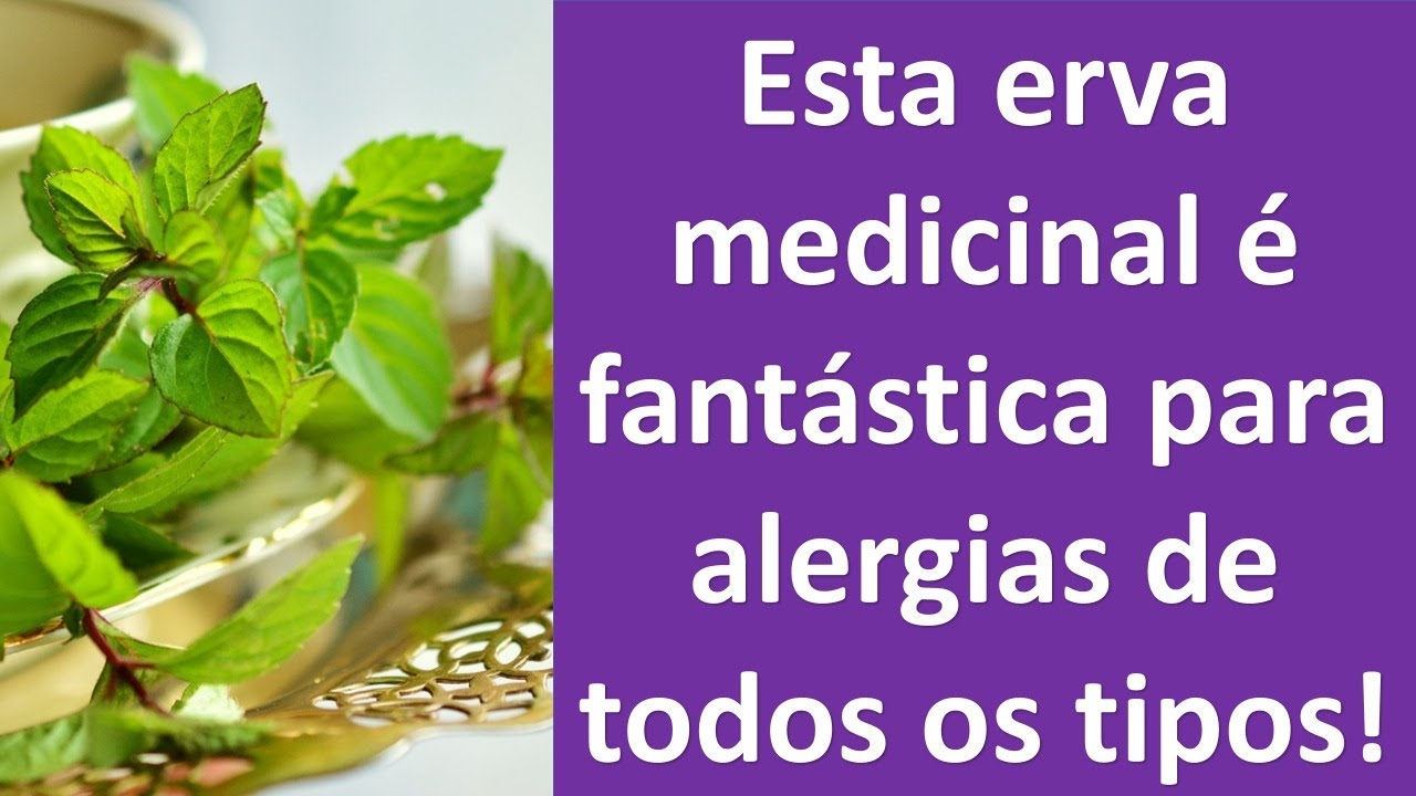 Esta erva medicinal é fantástica para alergias de todos os tipos! | Dr. Marco Menelau