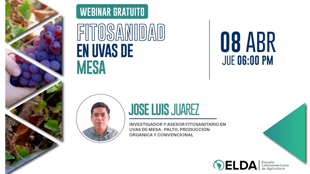 #WEBINAR ELDA  |  FITOSANIDAD EN UVAS DE MESA