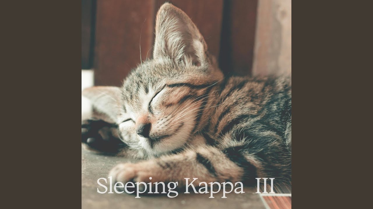 秒睡進入夢鄉！！120分鐘不間斷睡眠音樂，療癒音樂，音樂治療，讓您的...