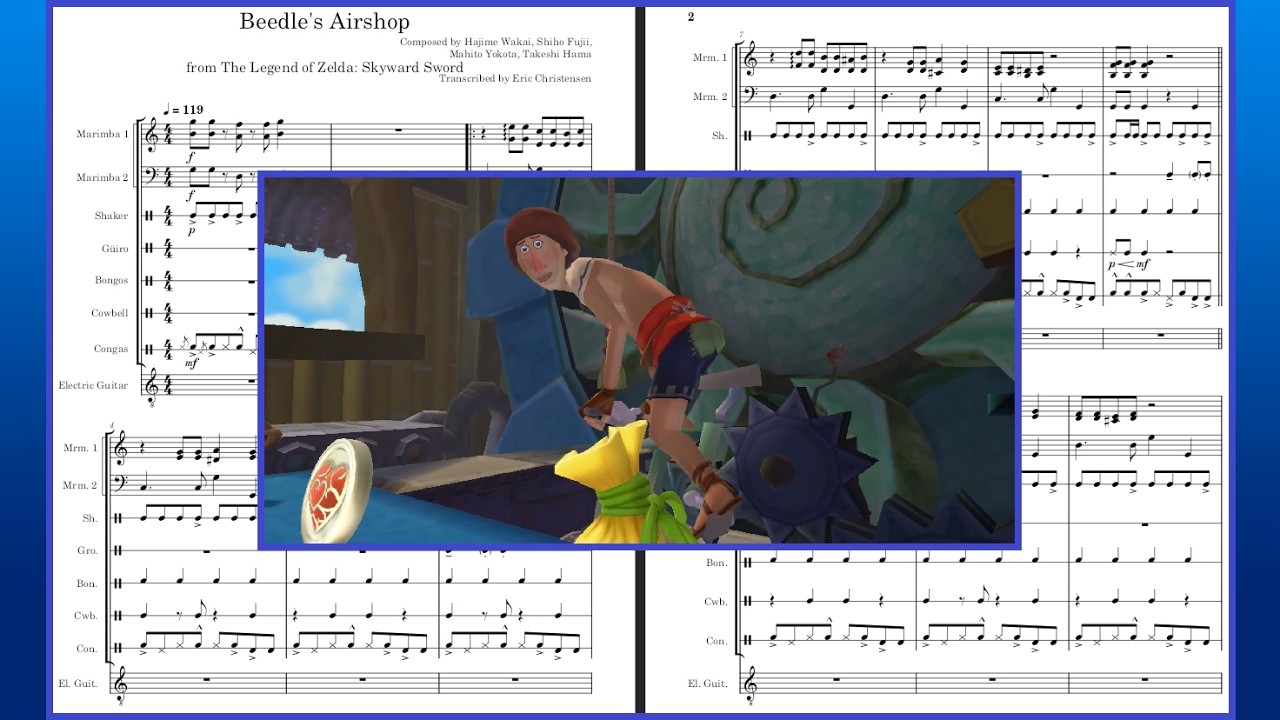 Beedle's Airshop - The Legend of Zelda: Skyward Sword