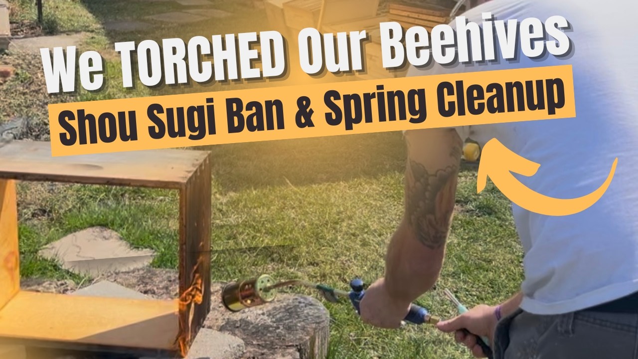 We TORCHED Our Beehives 🔥 (Shou Sugi Ban & Spring Cleanup)