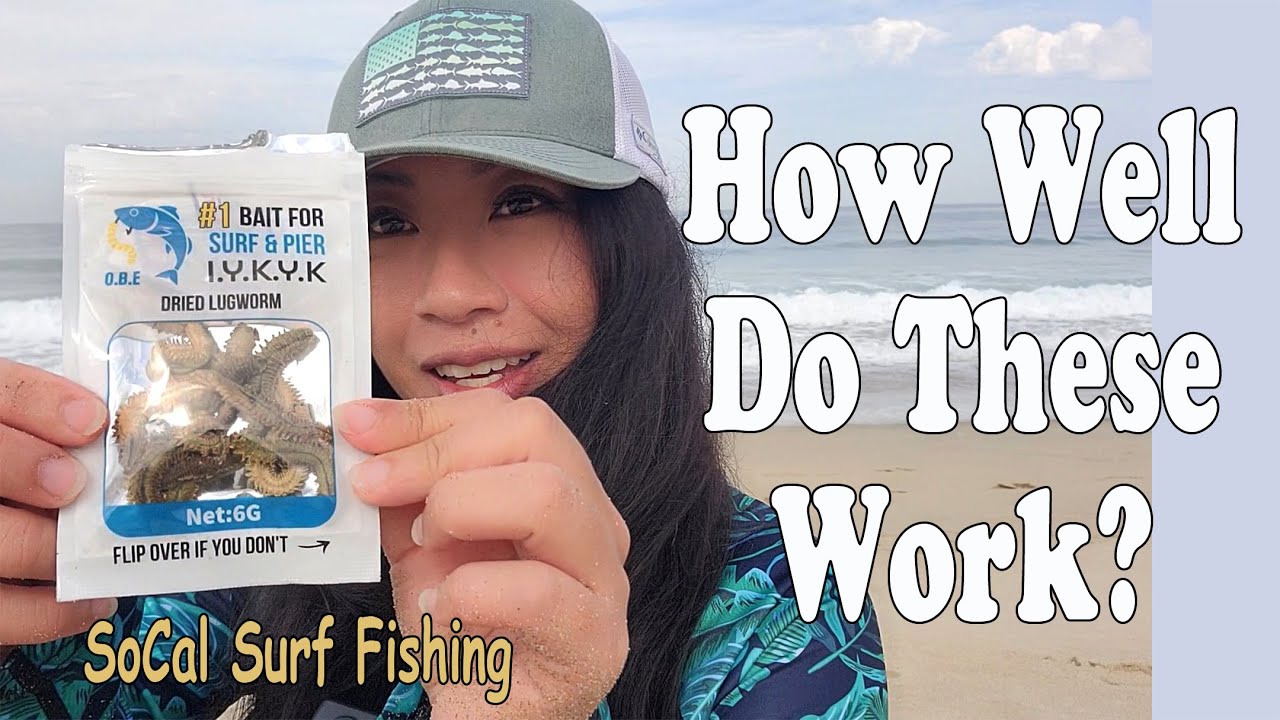 Dried Lugworms Do they work?! | SoCal Surf Fishing