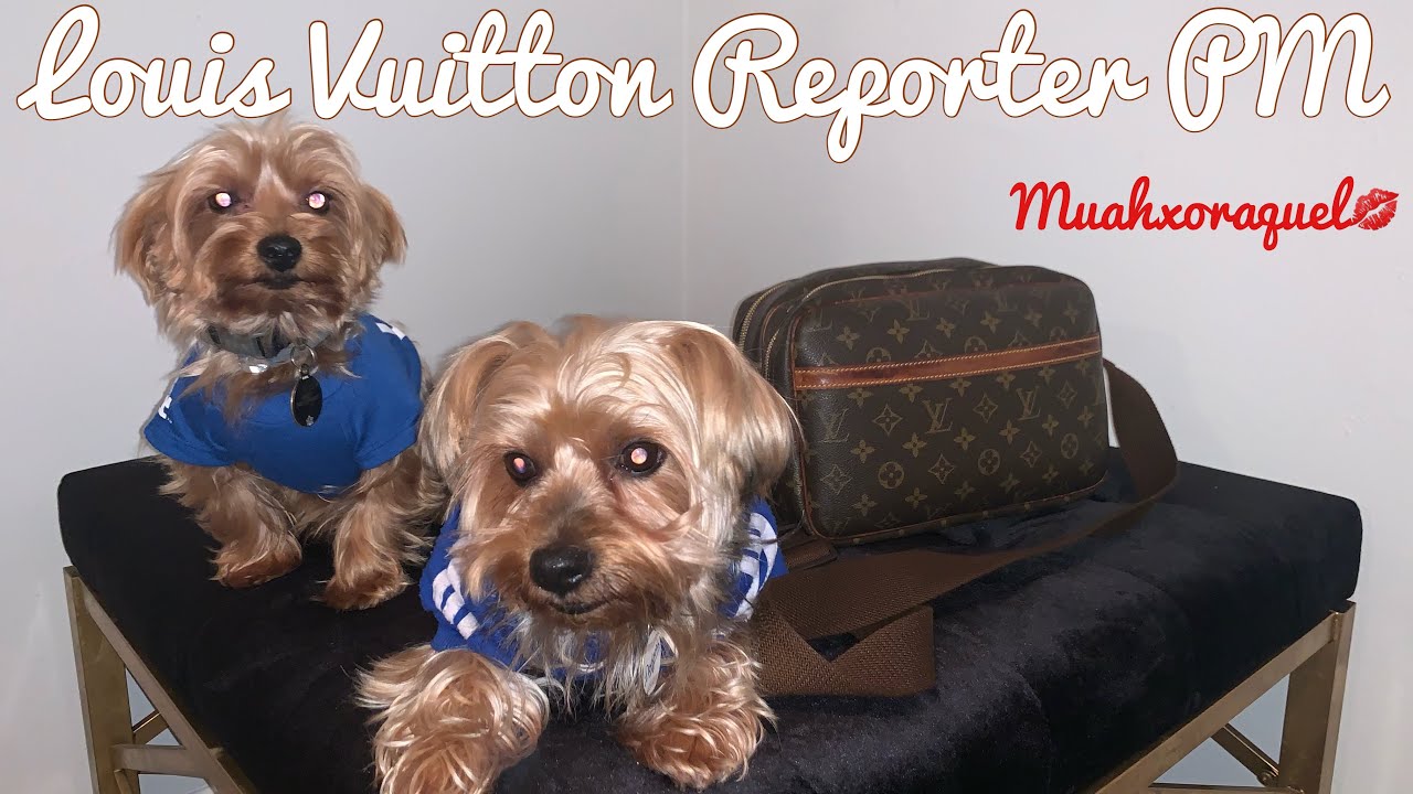 Louis Vuitton Reporter Pm