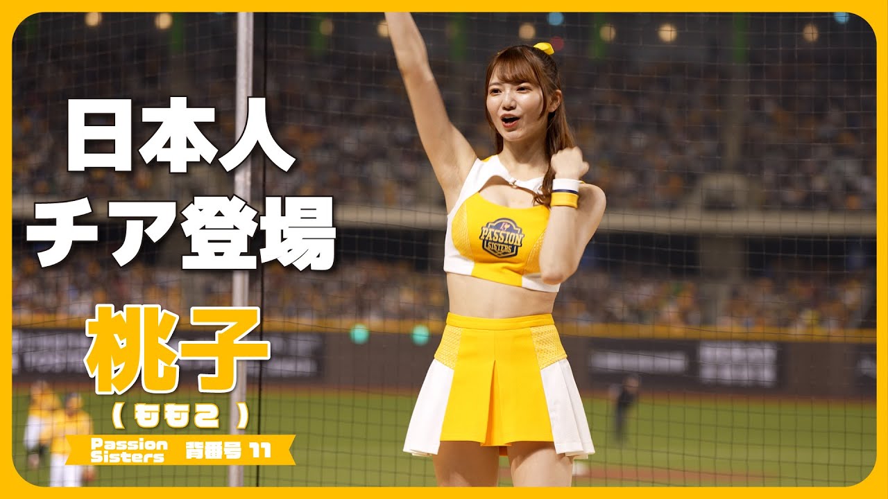 日本人チアデビュー!!📣 桃子🍑MOMOKO  Passion Sisters 中信兄弟啦啦隊 cheerleader  臺北大巨蛋 2025/3/29【台湾チアTV】