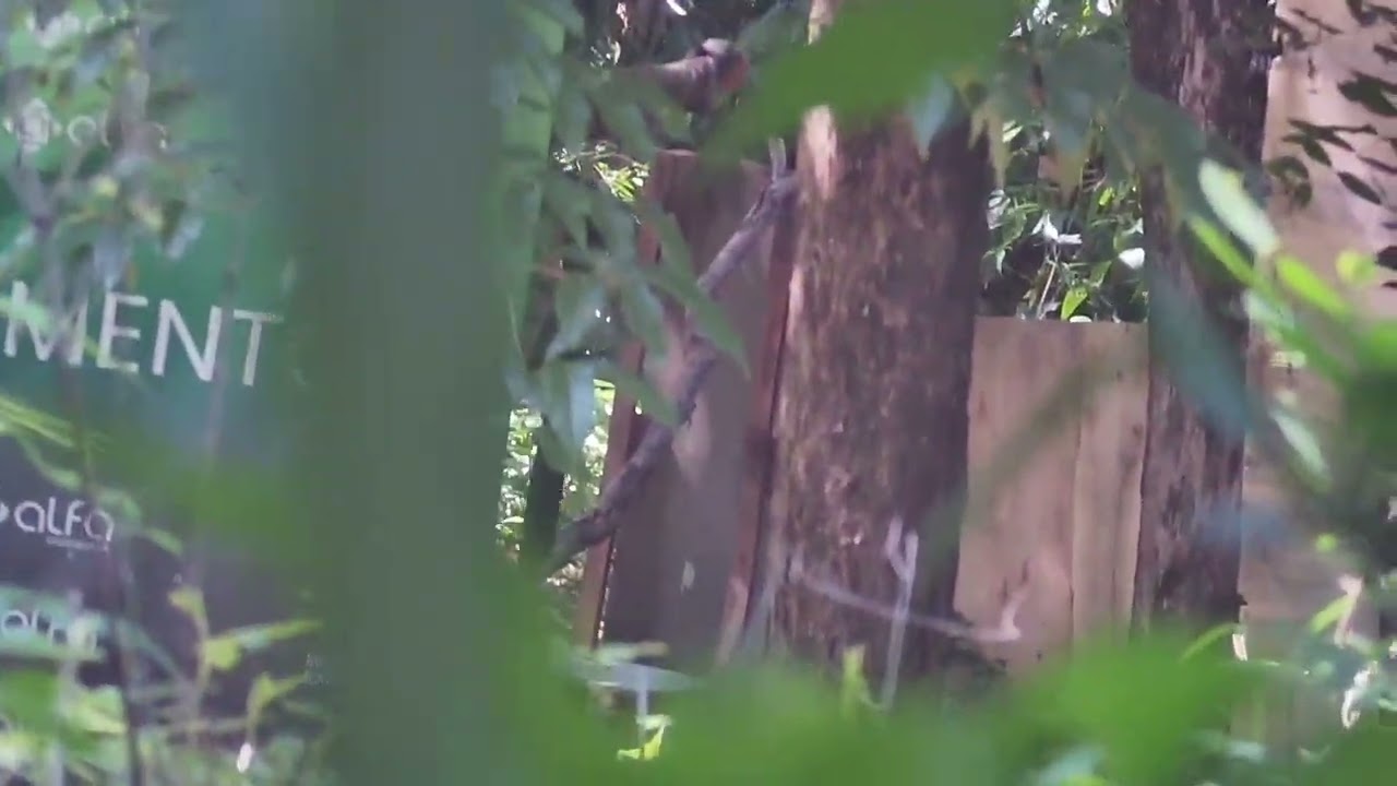 Jogo de Airsoft melhor campo de Divinópolis