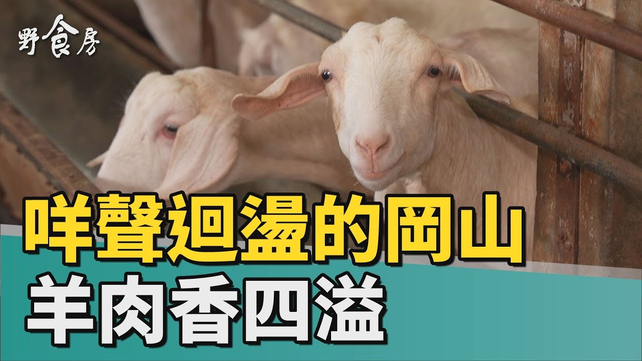 野食房 | 咩聲迴盪的岡山 羊肉香四溢