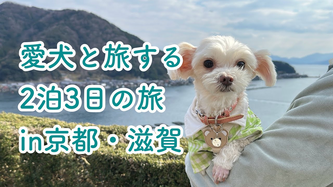 【Vlog】愛犬と泊まれる宿🐶京都→滋賀に旅行に行ってきました🐾
