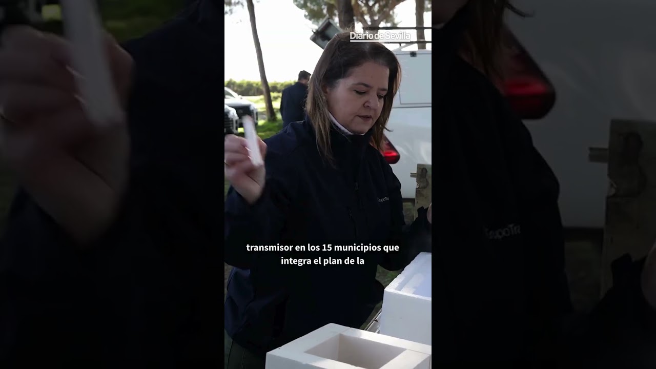 El riesgo de virus del Nilo en Sevilla: 