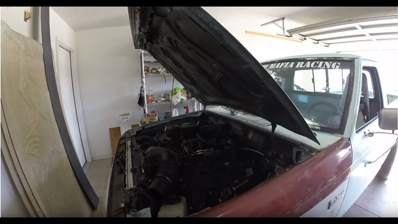Coyote Swap Ranger Walk Around