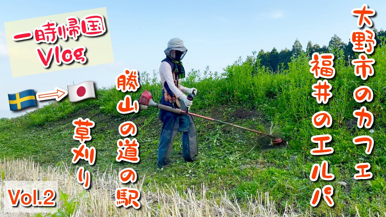 【一時帰国Vlog🇸🇪⇨🇯🇵】実家での、日常と観光の中間の日々【その2】