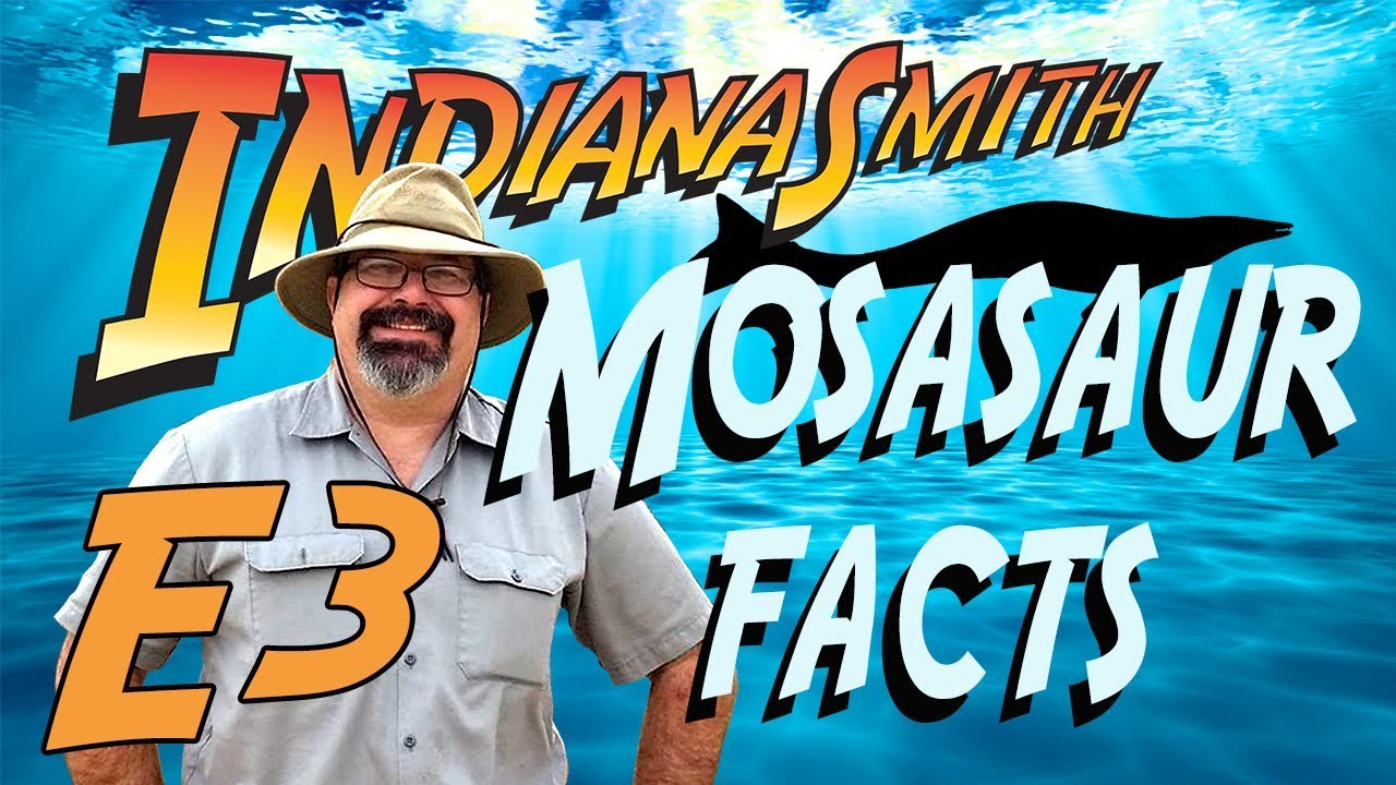 Mosasaur Facts