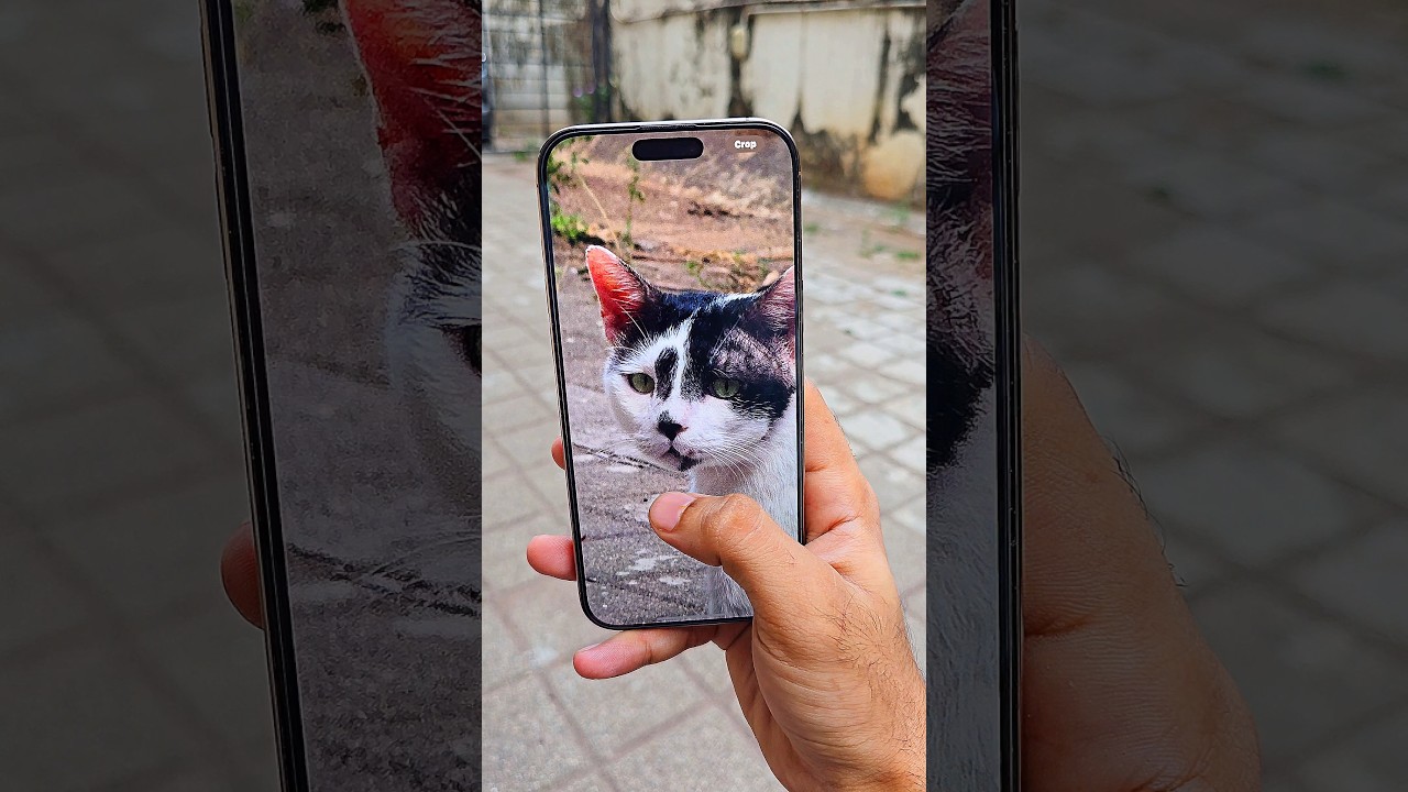 iPhone 16 Pro Max Camera Test 🔥